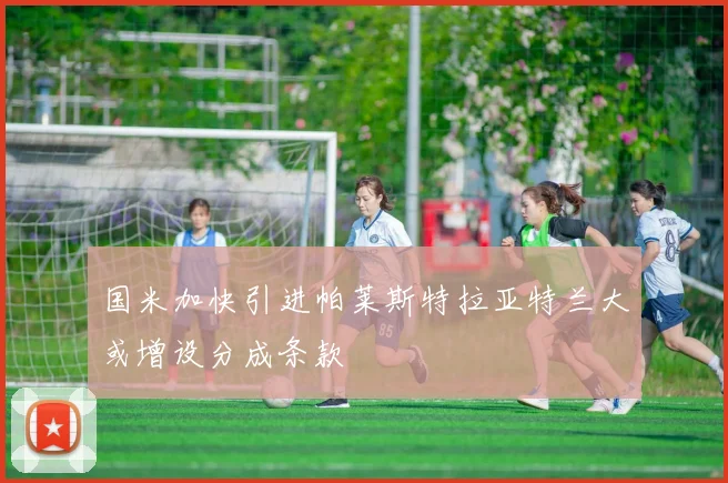 国米加快引进帕莱斯特拉亚特兰大或增设分成条款